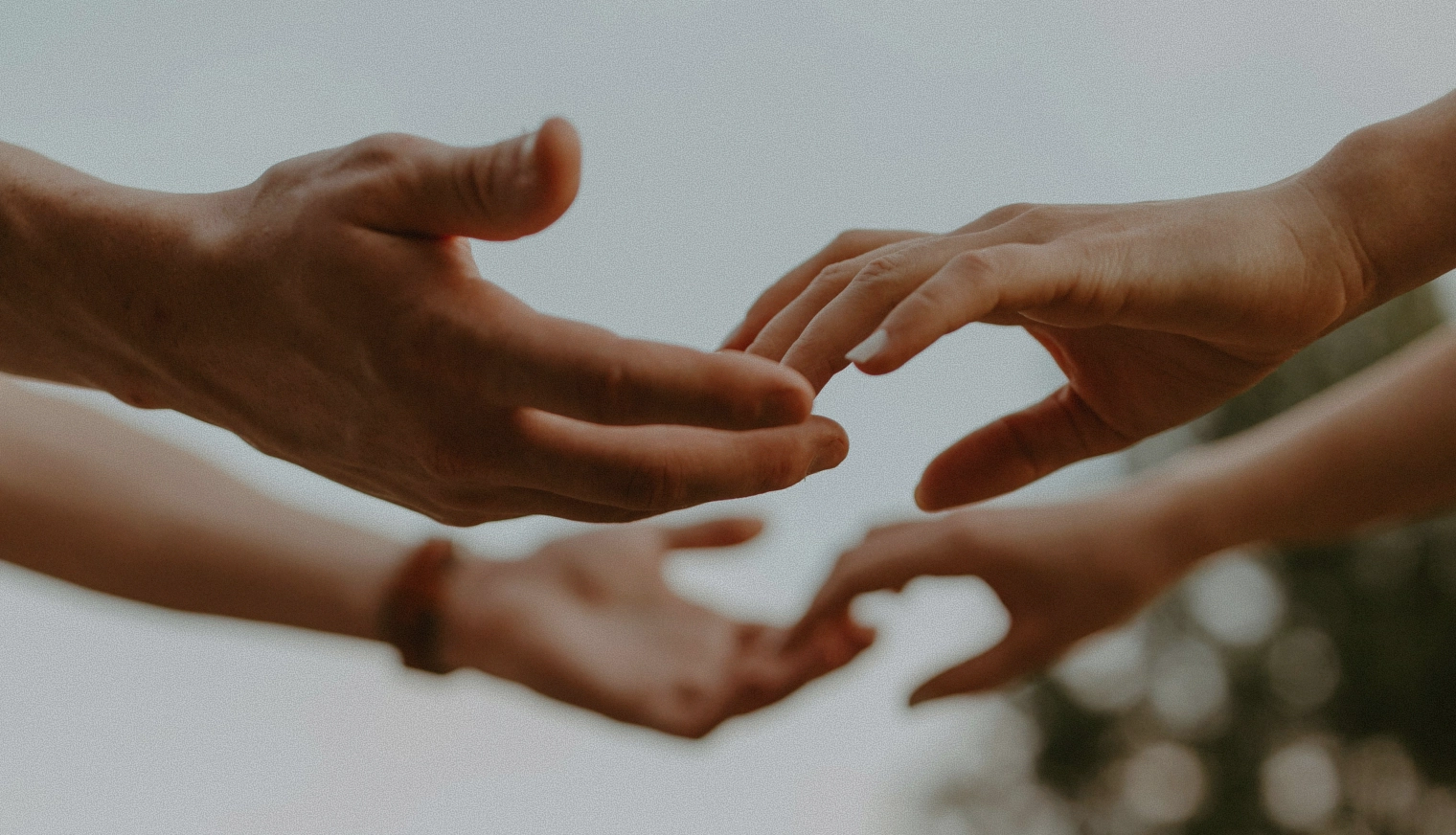 Total Wellness Solution