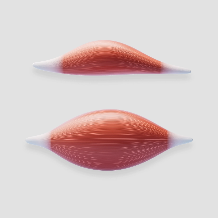 체성분 변화를 고려한 대사 밸런스 케어