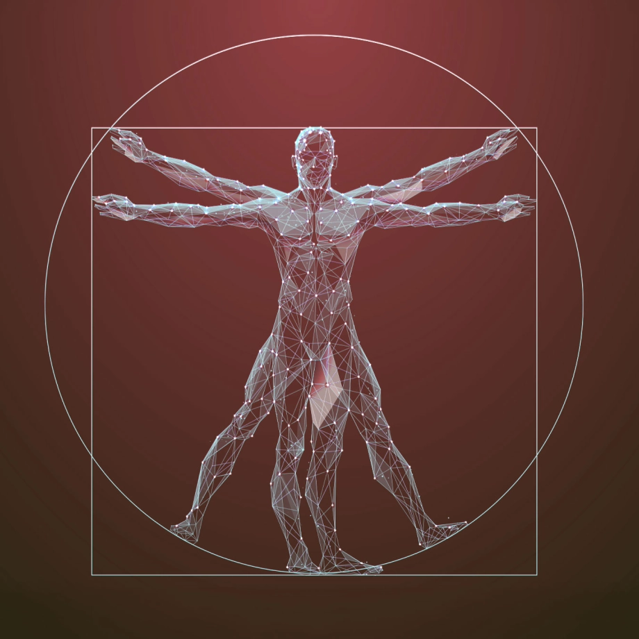 감량과 신체 회복의 조화